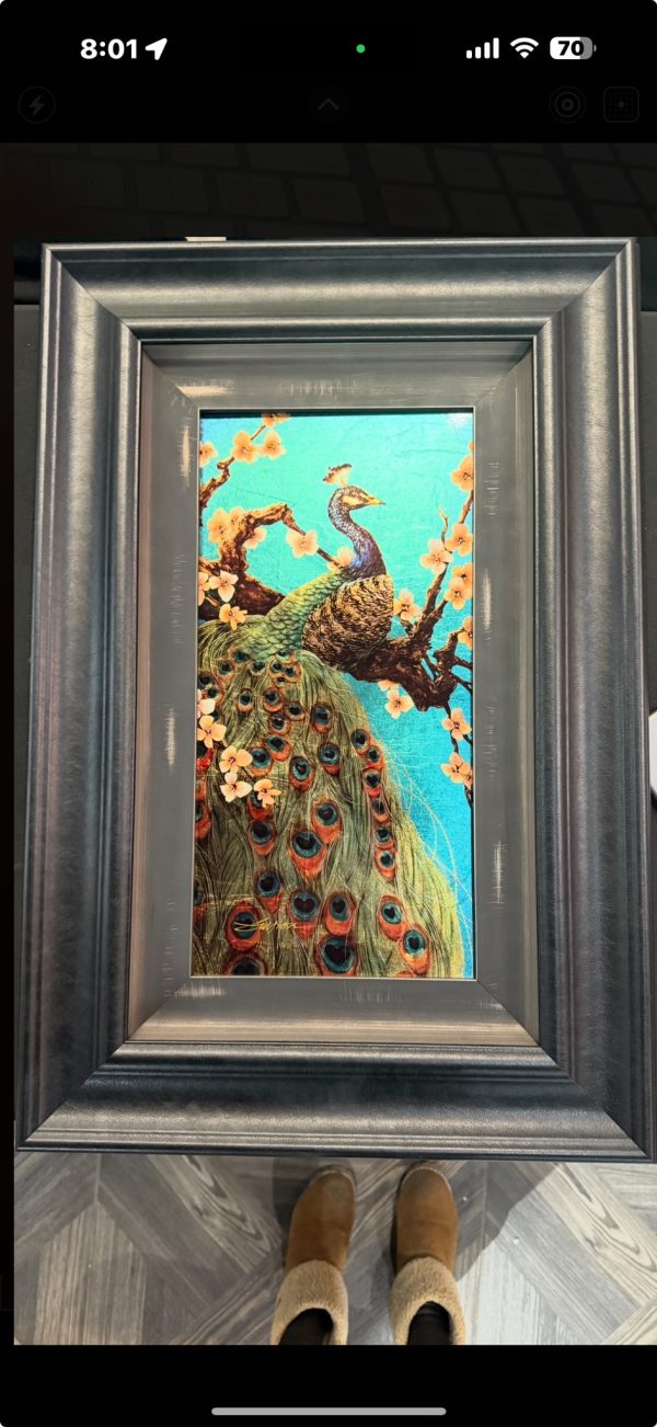 Royal Peacock 16X18