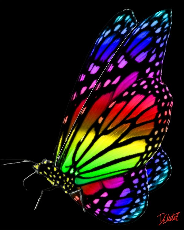 ColorFly 16x20
