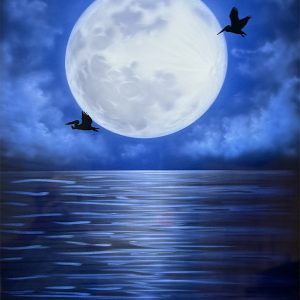 Pelican Moon
