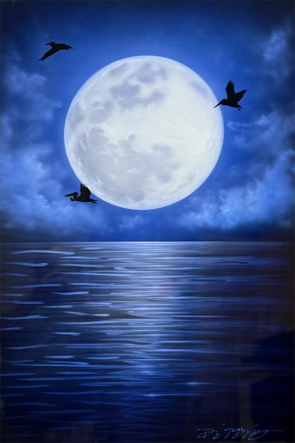 Pelican Moon
