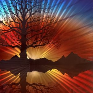 Tree of Life