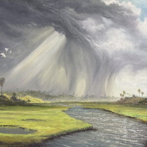 Sun Shower