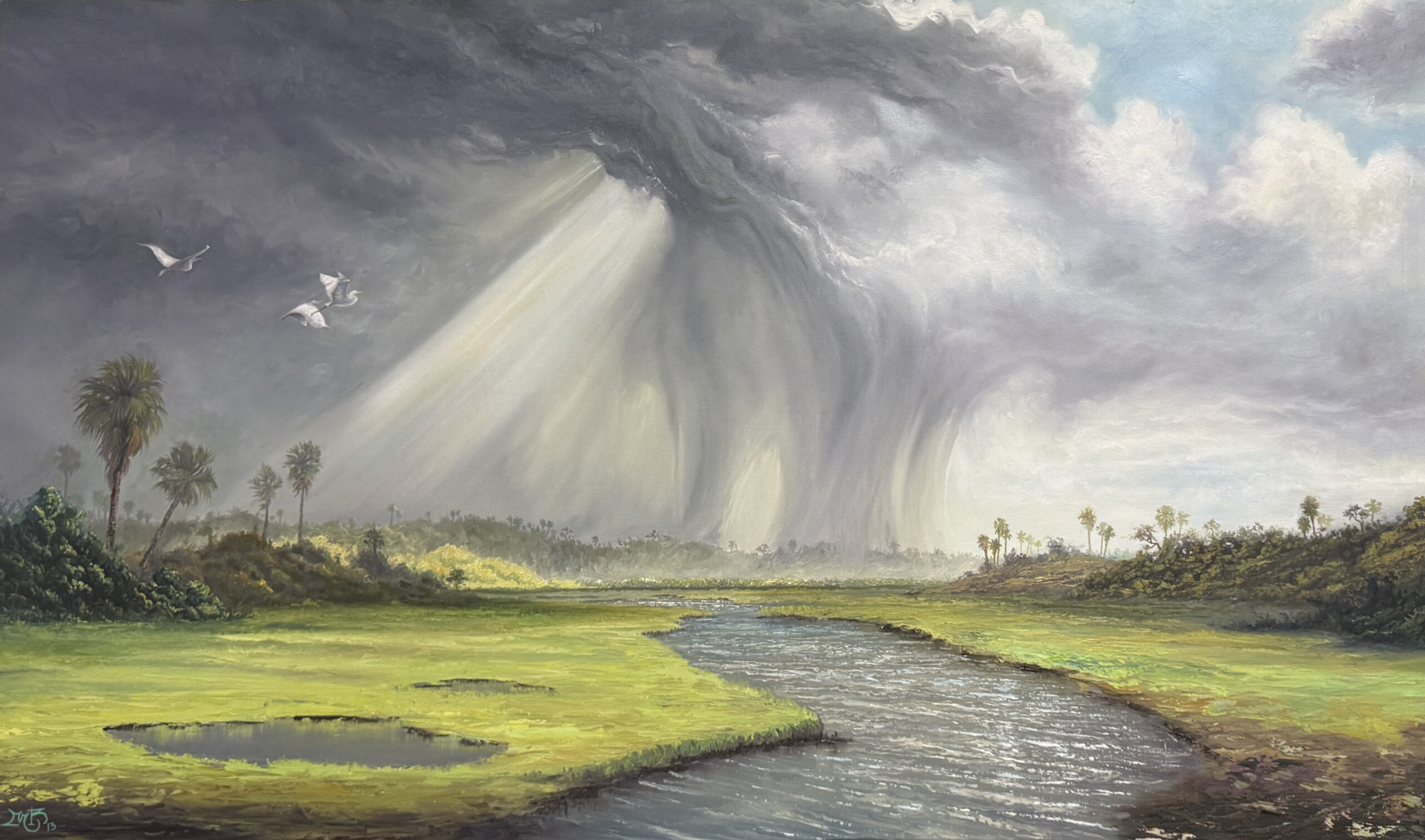 Sun Shower
