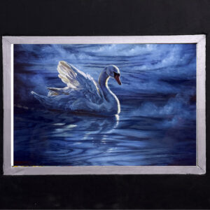 Swan